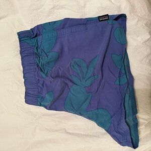 Patagonia Purple and Teal Athletic Shorts